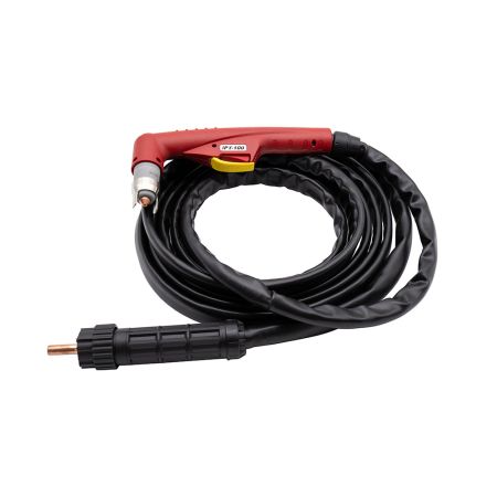 Torch assy complete 6m - P101D IPT100 Torch