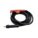 Torch assy complete 6m - P101D IPT100 Torch