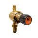 Single Stage Plugged Propane Regulator